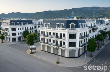 Ngói phẳng Pháp SE-24